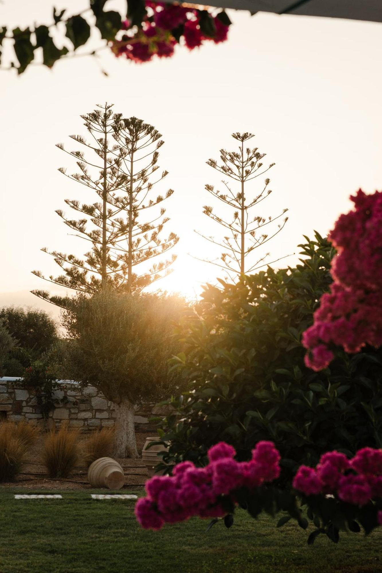 White Dunes Luxury Boutique Hotel Santa Maria  Buitenkant foto