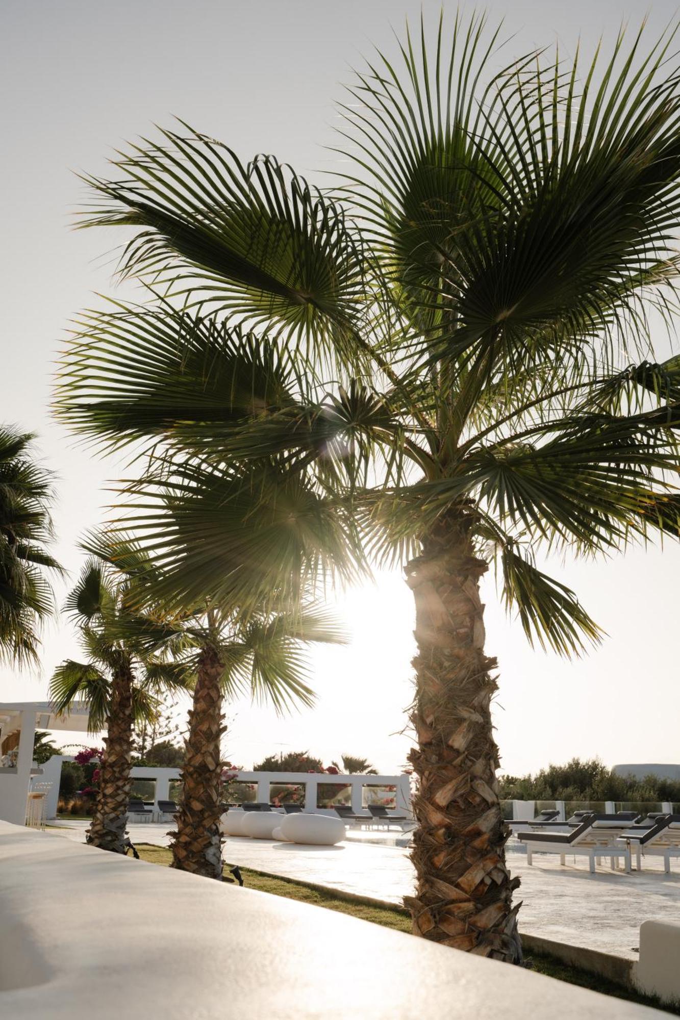 White Dunes Luxury Boutique Hotel Santa Maria  Buitenkant foto